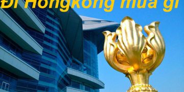 Đi Du Lịch Hongkong Mua Gì Làm Quà ? Top 5 Đặc Sản Nổi Tiếng Nhất