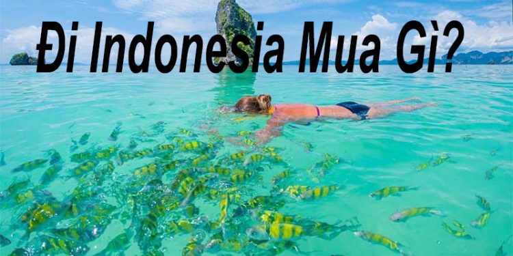 Đi Du Lịch Indonesia Mua Gì Làm Quà ? Top 4 Đặc Sản Nổi Tiếng Nhất