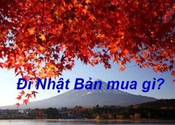 Đi Du Lịch Nhật Bản Mua Gì Làm Quà ? Top 5 Đặc Sản Nổi Tiếng Nhất