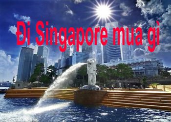 Đi Du Lịch Singapore Mua Gì Làm Quà ? Top 6 Đặc Sản Nổi Tiếng Nhất