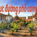 5 Món Ăn Ẩm Thực Đường Phố Ở Campuchia – Các Địa Chỉ Ẩm Thực Ngon Nhất